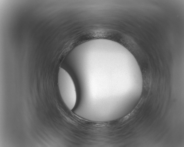 X0000056000175200508190831