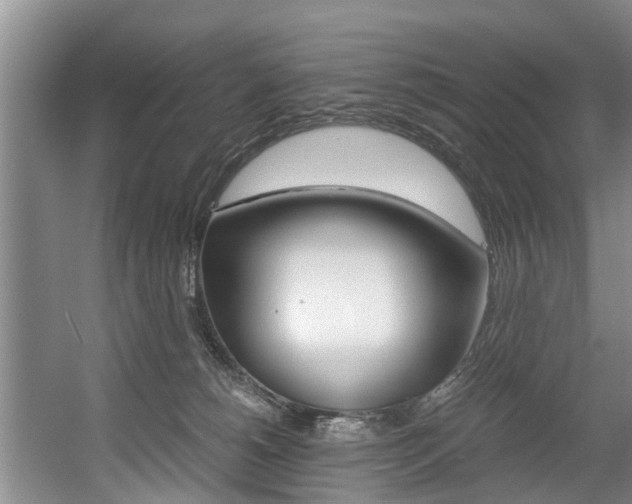 X0000056000180200508190831