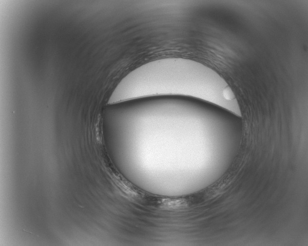 X0000056000185200508190831