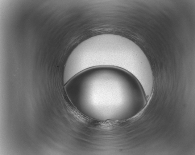 X0000056000190200508190831