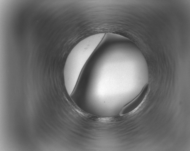 X0000056000192200508190831