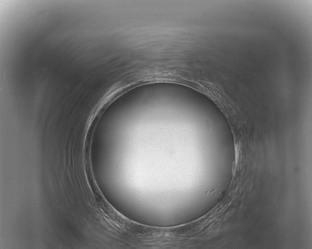X0000056000195200508190830