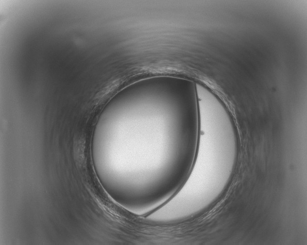 X0000056000201200508190830