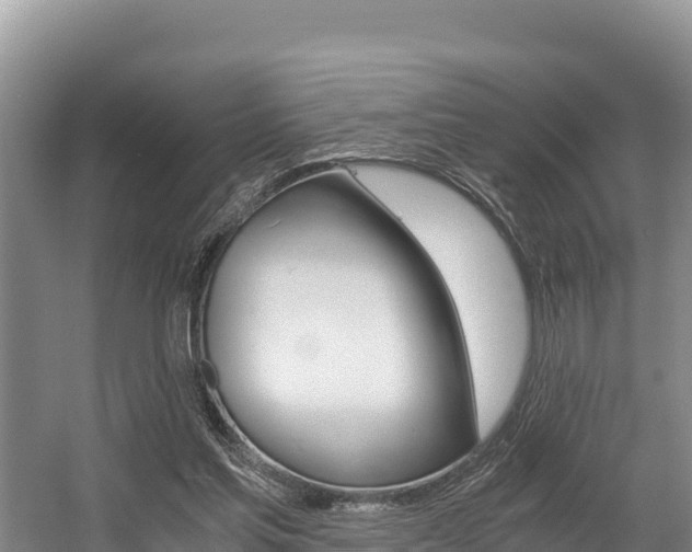X0000056000205200508190830