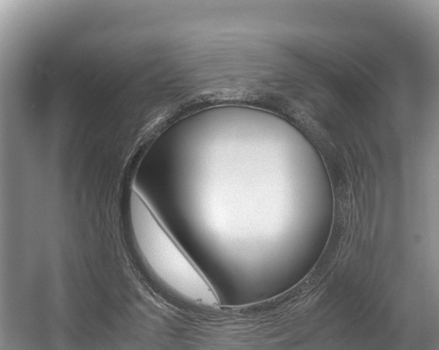 X0000056000207200508190830