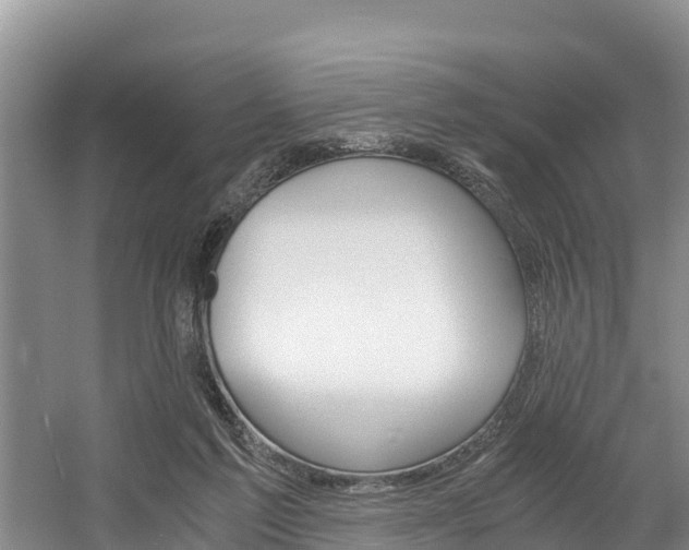 X0000056000213200508190830