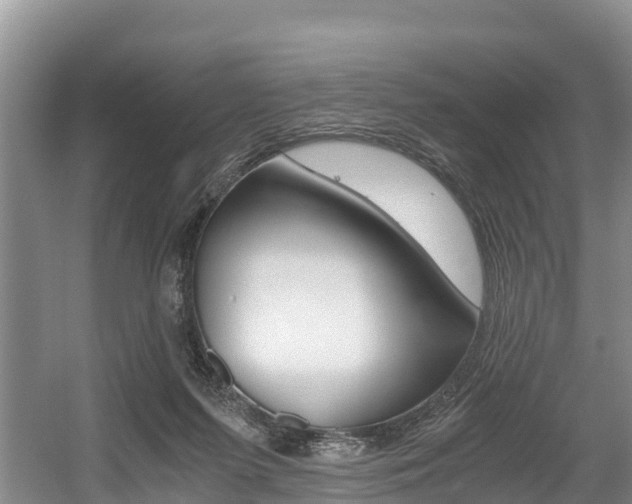X0000056000215200508190830