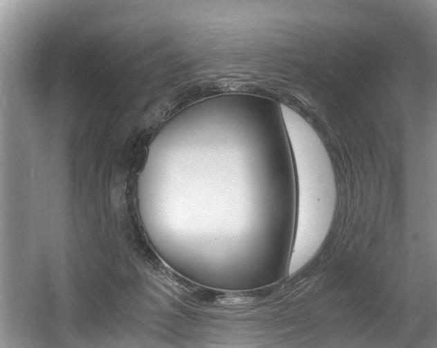 X0000056000221200508190830