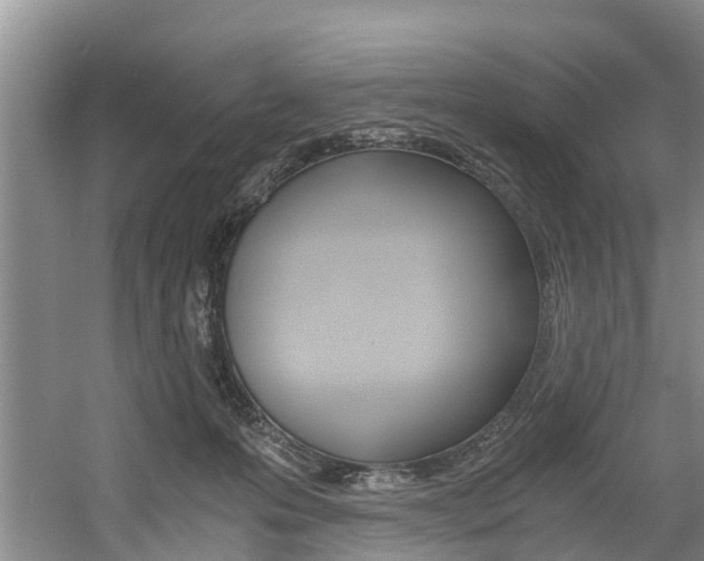 X0000056000223200508190830
