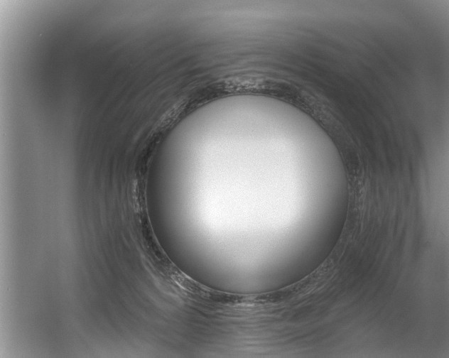 X0000056000224200508190830