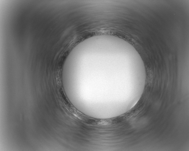 X0000056000236200508190829