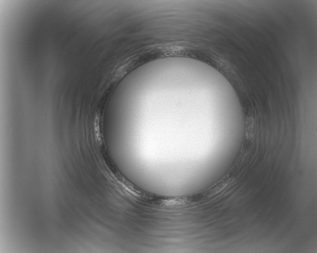 X0000056000238200508190829