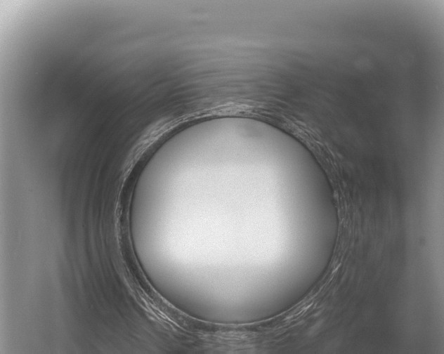 X0000056000242200508190829