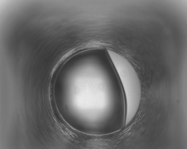 X0000056000244200508190829
