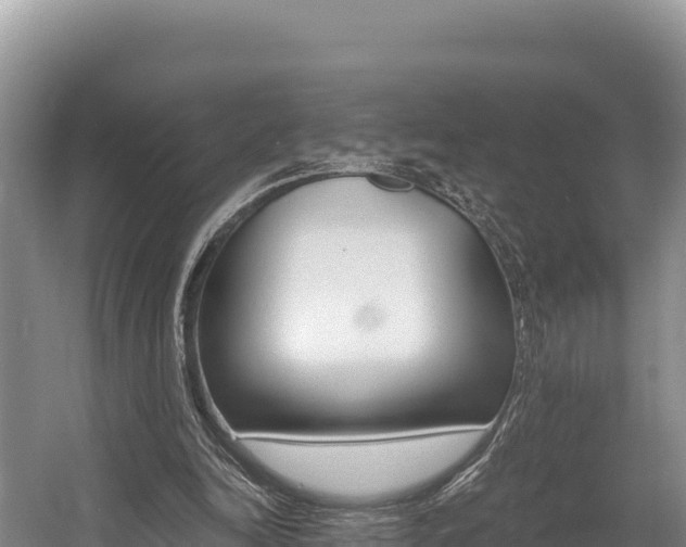 X0000056000246200508190829