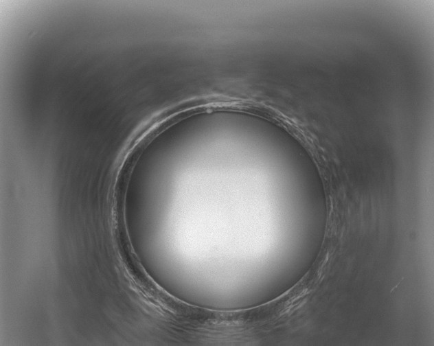 X0000056000247200508190829