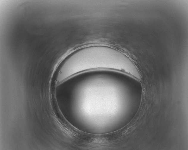 X0000056000248200508190829