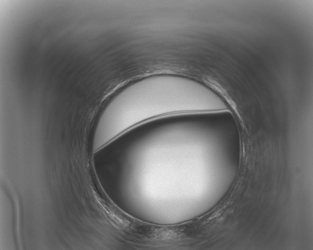 X0000056000249200508190829