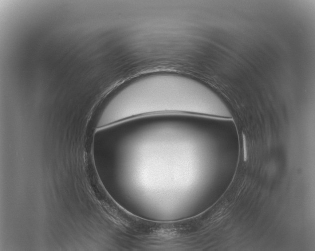 X0000056000252200508190829