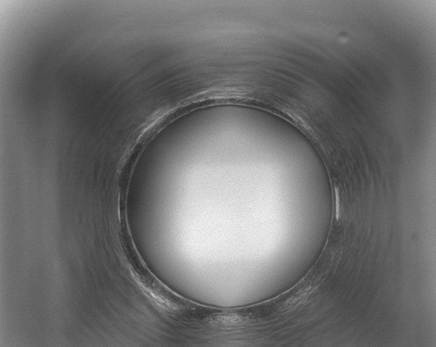 X0000056000253200508190829