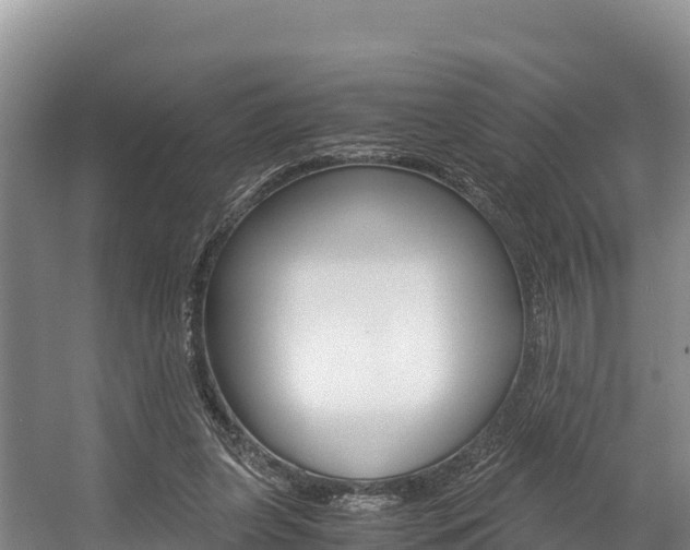 X0000056000255200508190829