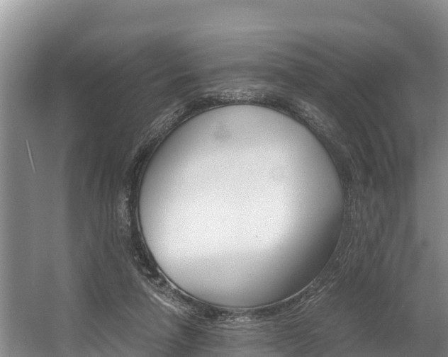 X0000056000258200508190829