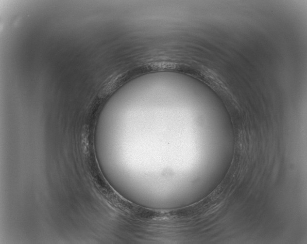 X0000056000259200508190829