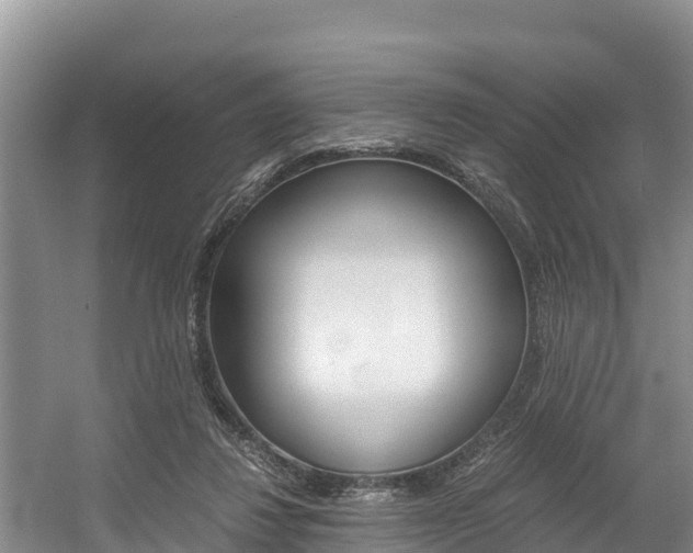X0000056000260200508190829