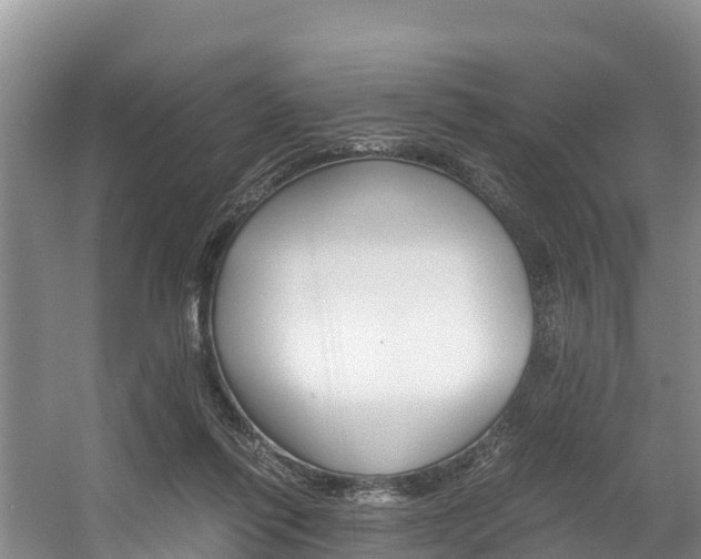 X0000056000262200508190829