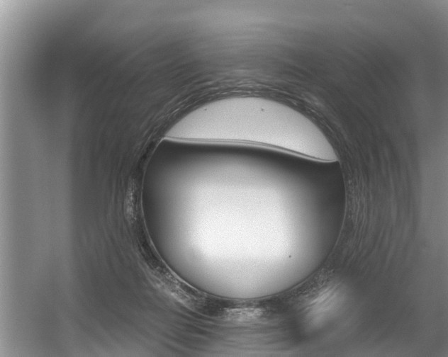 X0000056000266200508190829