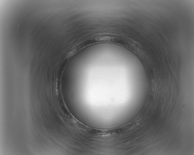 X0000056000267200508190829