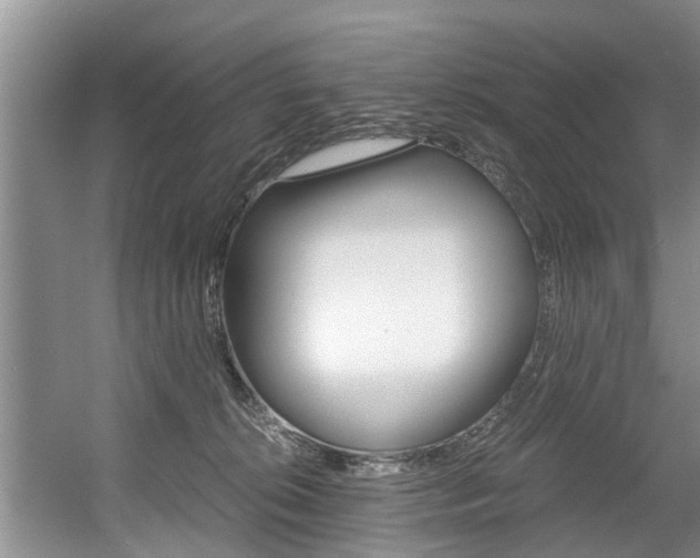 X0000056000276200508190829
