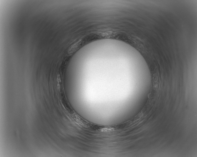 X0000056000279200508190829