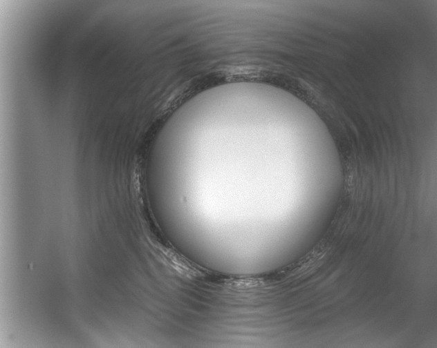 X0000056000282200508190829