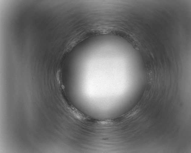 X0000056000286200508190829