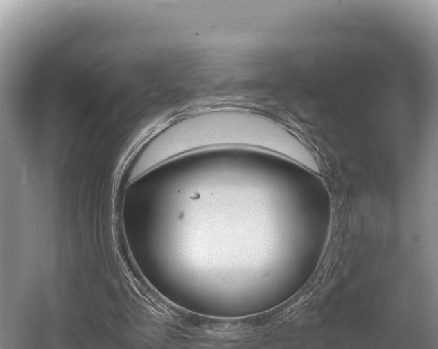 X0000056000293200508190829