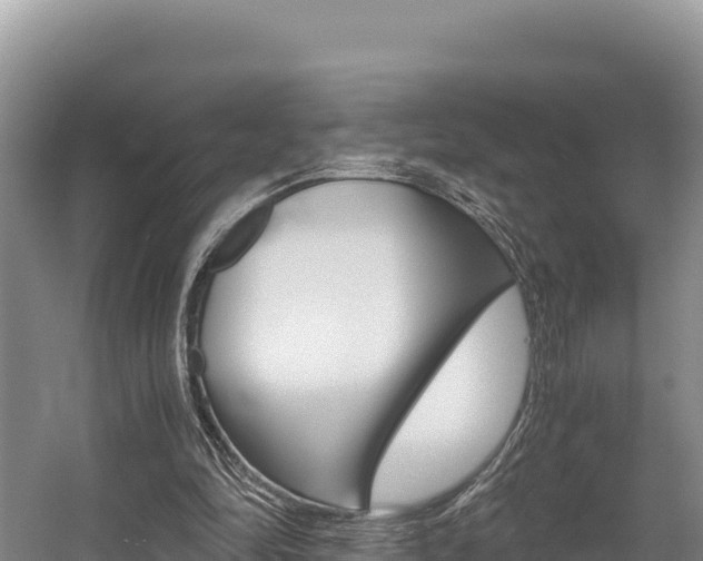 X0000056000294200508190829
