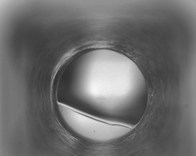 X0000056000296200508190828
