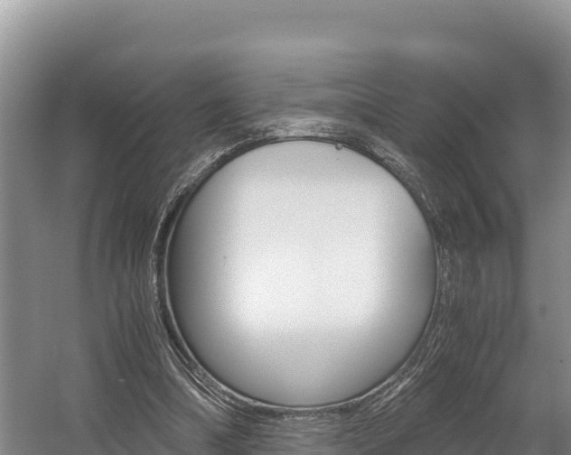 X0000056000298200508190828