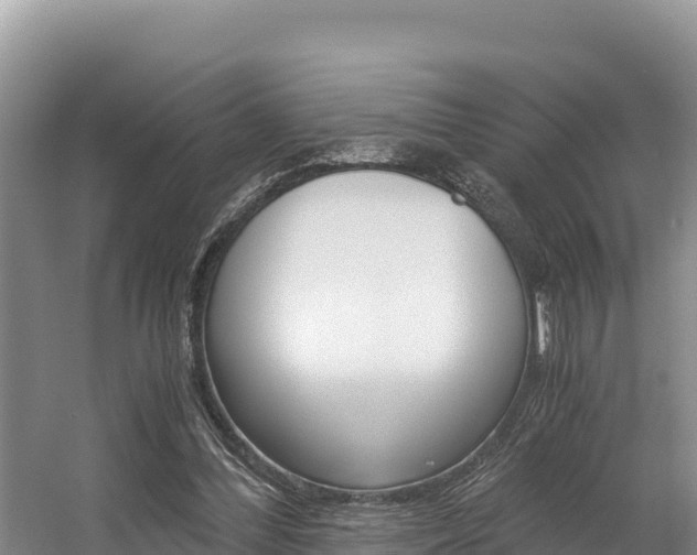 X0000056000300200508190828