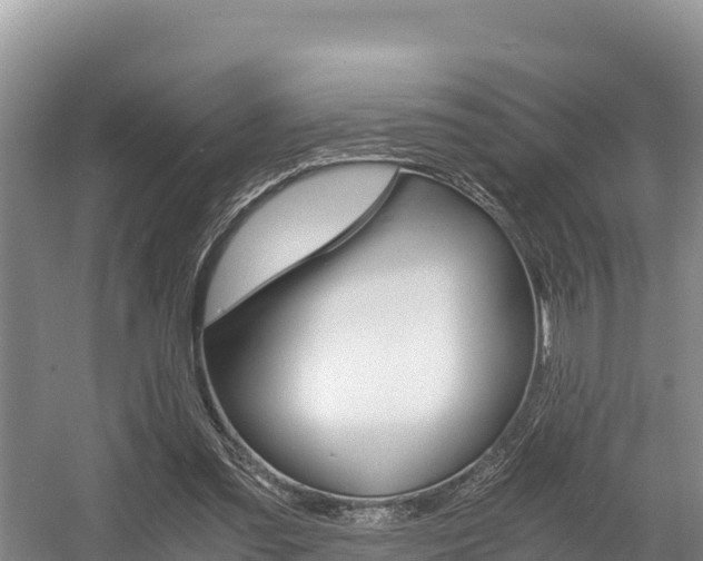 X0000056000301200508190828