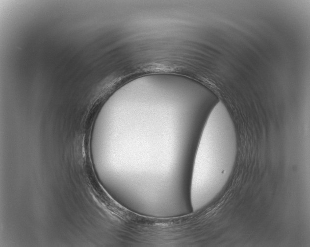 X0000056000302200508190828