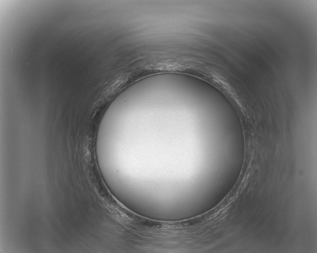 X0000056000305200508190828