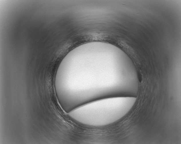 X0000056000306200508190828