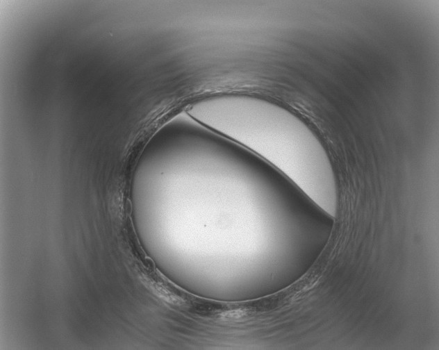 X0000056000309200508190828