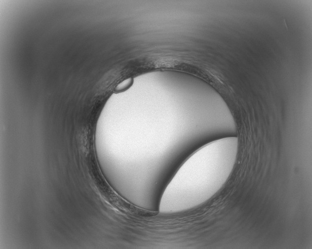 X0000056000311200508190828