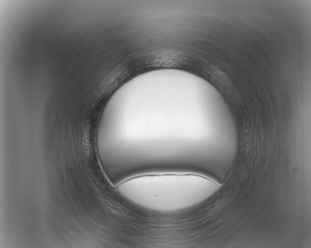 X0000056000312200508190828