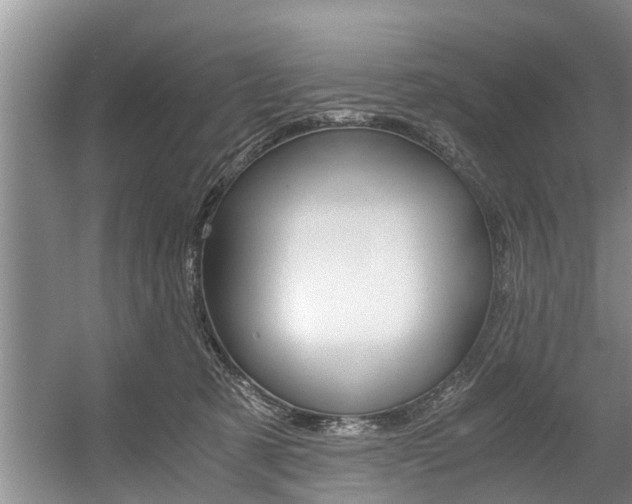 X0000056000321200508190828