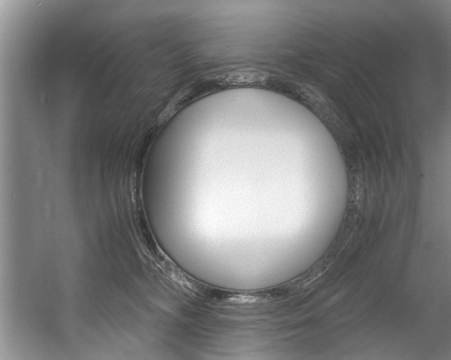 X0000056000326200508190828