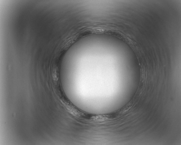X0000056000331200508190828